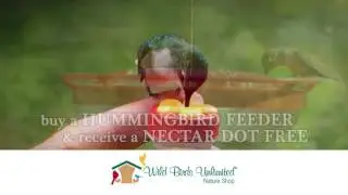 Wild Birds Unlimited   Nectar Dot R