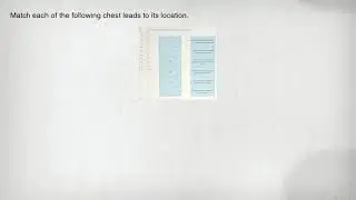 Match each of the following chest leads to its location.