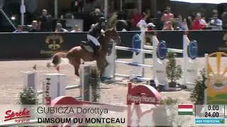 DIMSOUM DE MONTCEAU -1st place FEI CSIOP Big Tour Linzer Pferdefestival 1.25m