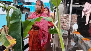 Bihar ka Chhath Puja Maha Parva ka Puja (8 November 2024)