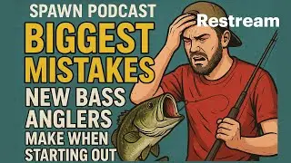 Bass Fishing for Beginners: The Most Common Errors to Avoid