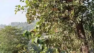 Diblibagh Village Area Borgang River Side Welcome To My Channel