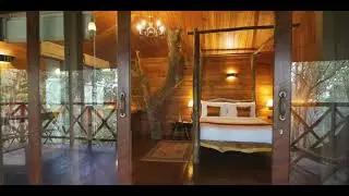 The Tree Houses