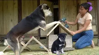 Storm Duyen struggled to quickly build a small house for the new puppy member of the family