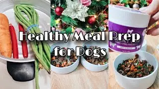 HEALTHY MEAL PREP FOR DOGS | FurMom Life | FurMom Mitchz