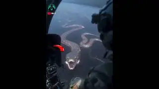 😱Is this real Snake Island⁉️