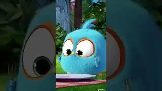 angry birds #cartoonvideo #angrybirds #babysongs #kidssong #subscribe #foundation