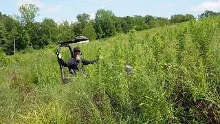 Going to BATTLE with the MOST Invasive Weed in Mowssouri!
