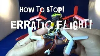 Entry Level Pilot Series - Troubleshoot Erratic Flight - Eachine FatBee FB90