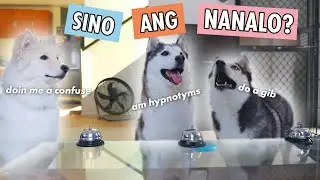 RING THE BELL, GET A TREAT CHALLENGE (ANG GULO GULO NILA!)