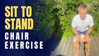 Chair Exercises Sit to Stand