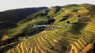 Mountain Terraces Winery & Vineyard