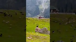 Very beautiful view #8kshorts #shorts