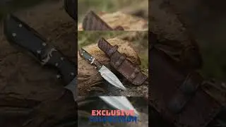 Trailseeker Every Day Carry Knife with Ram Horn & Rosewood Handle