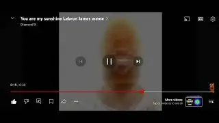 you are my sunshine lebron James meme reversed