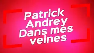 Patrick Andrey - Dans mes veines /  paroles, lyrics