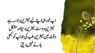 Urdu best educational quotes - urdu wisdom 