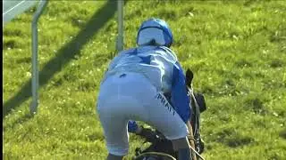 2012 Group 1 Windsor Park Plate: Mufhasa