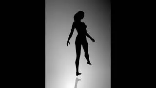 Spinning_Dancer_Optical_Illusion__2040_frames_.