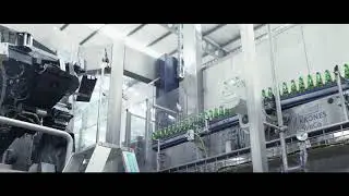 BIA BREWERY - PROST BEER