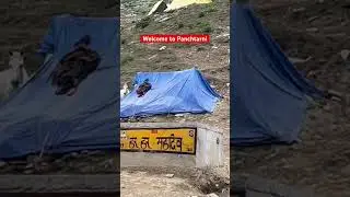 Reached Panchtarni - The Gateway to the Holy Cave! #panchtarni #amarnathyatra #jammukashmir #india