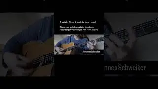 A waltz   #guitar #guitarist #guitarcover #jazzguitar #jazzmanouche #acousticguitar #gypsyjazzguitar