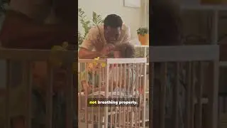 A Pet Rat Saved a Baby&rsquo;s Life TRUE Story