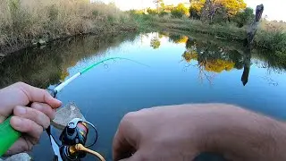 American style VS Australian style Lure fishing challenge! *GIANT* Redfin fishing Victoria.