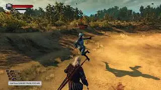 W3EE - Slow Motion combat with drowner via Counters only