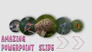 Powerpoint Magic | Photo Slides #powerpoint #tutorial #slideshow #slidestyle #design #template