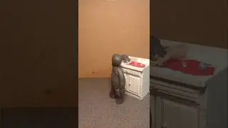 little clay guy likes cleaning