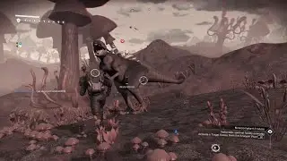 How to tame pets in no mans sky