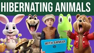 Hibernating animals with Ammar J