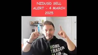 NZDUSD sell alert - 4 March 2025 - By Vladimir Ribakov #nzdusd #forex #trading #forexsignals #fyp