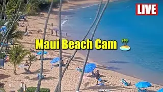 LIVE Maui Beach Cam | Napili Kai Beach Resort | Stunning Hawaii Views 24/7