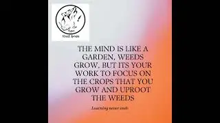 Exploring the Mind: Why We Think the Way We Do