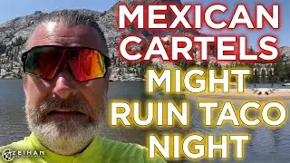 The Mexican Cartels Are Double-Dipping in the Guacamole || Peter Zeihan