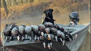Alabama Public Land Duck Hunting! Ducks Everywhere!