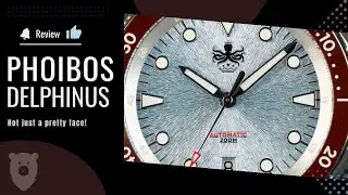 Phoibos Delphinus PY055BN - Iceblue and milk chocolate
