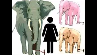 The False Human Belief