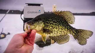 Ice Fishing For SLAB Crappies! Hidden BACK WOODS Lake (COLD FRONT)