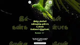 Today's Promise Word (Oct 2023) #tamilbible #bible #shorts #oct07
