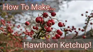 Hawthorn Ketchup