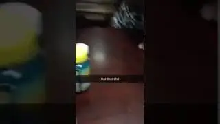Water bottle flipping