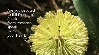Are you devoted to full Freedom? -  Meeting with Pia