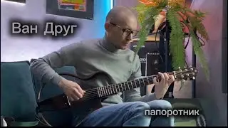 Ван Друг - папоротник (инструментал, гитара, лупер) 