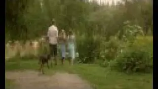 Bringeb&aelig;r, raspberry, frambuesa (Erik Hageler) OFFICIAL VIDEO