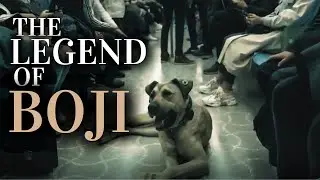 The Stray Dog Who Took Over a Whole City 🐕🚇 (Boji&rsquo;s True Story)