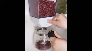 Wall Mounted Dry Food Dispenser