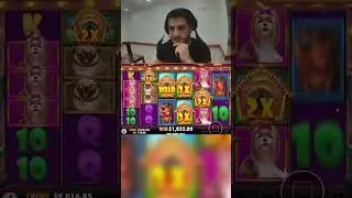 БЕЗУМНЫЙ ВЫИГРЫШ 900x В DOG HOUSE MEGAWAYS!